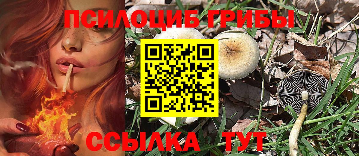 Коркино  Галлюциногенные грибы GOLDEN TEACHER  Вход с VPN 